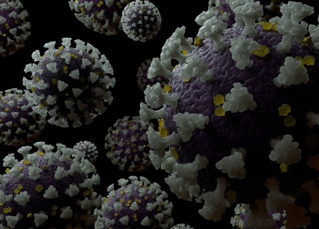 virus.jpg