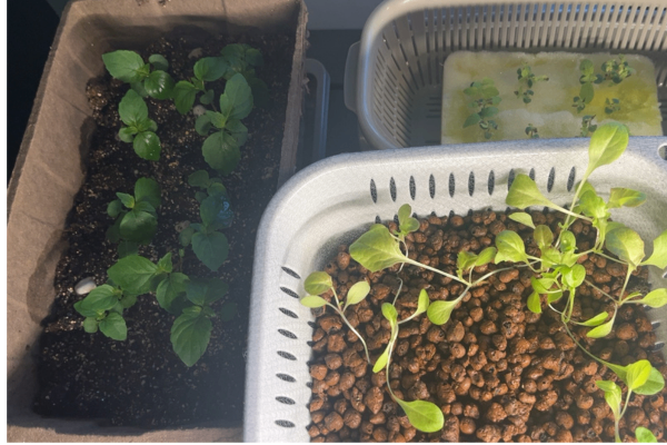 のうはうサムネ用 (11).png