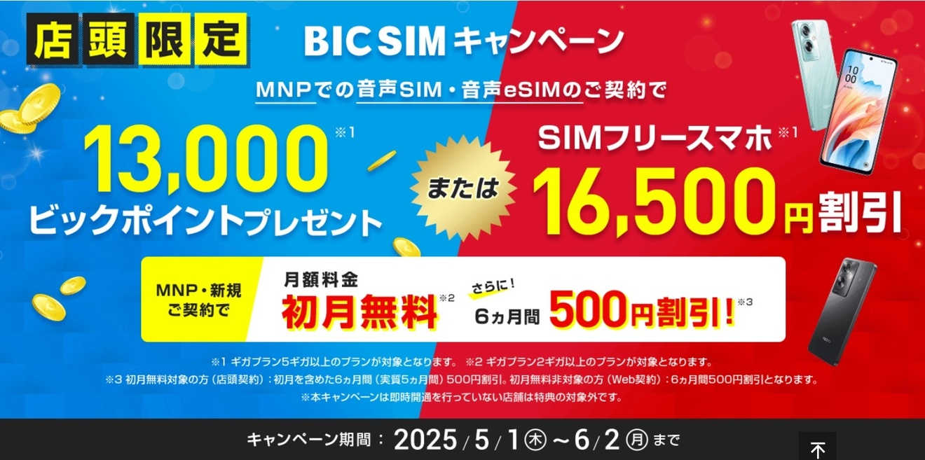 BIC SIM キャンペーン.jpg