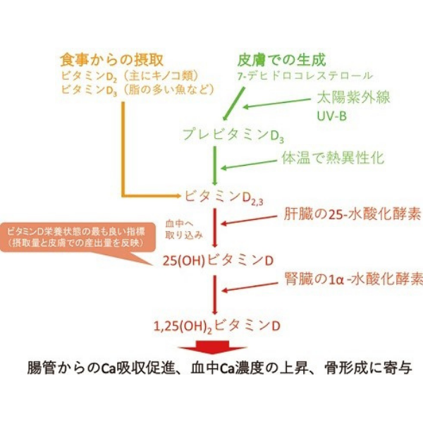 600×600.png