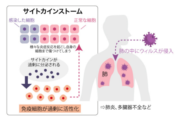 (600 x 400 px) (1).png