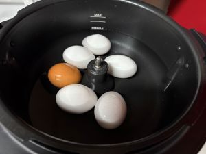 IMG_8056.jpg
