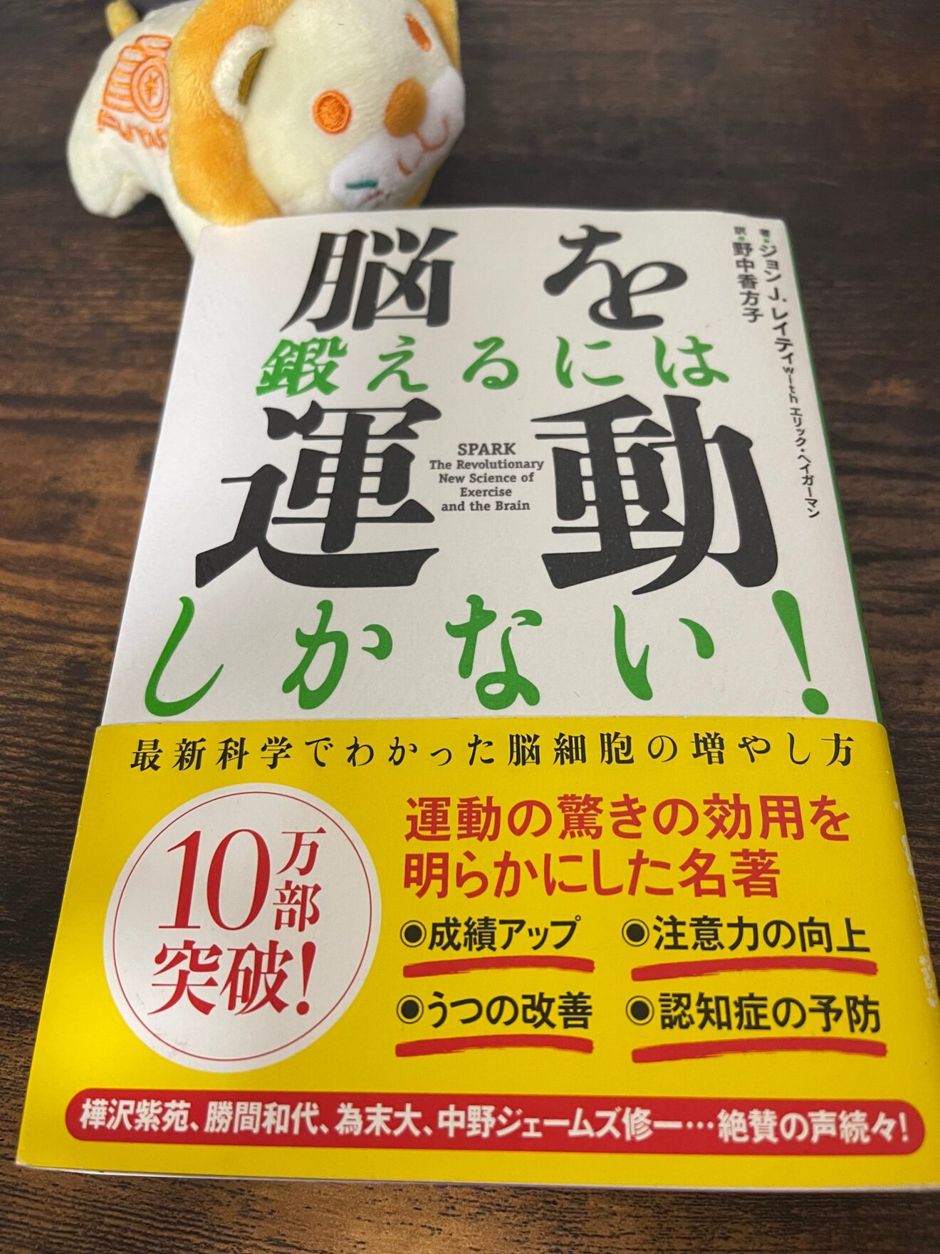 IMG_6310 2.jpeg