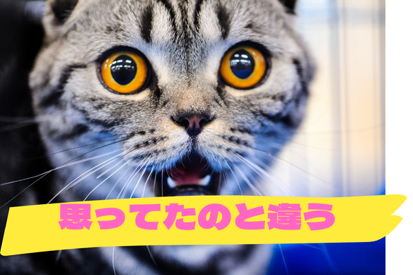 はっきりと (2).png