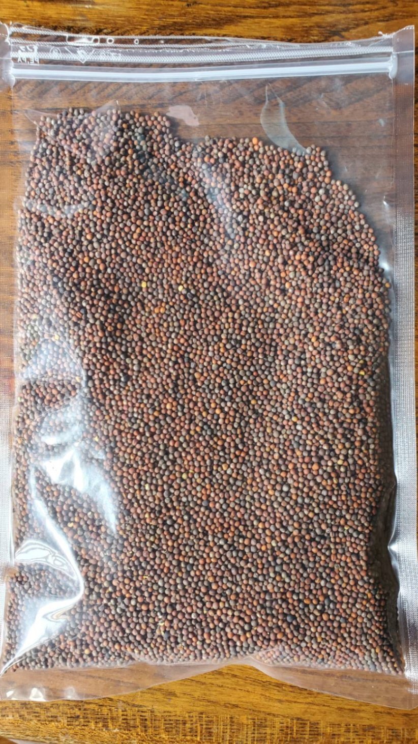 82923_0.jpg