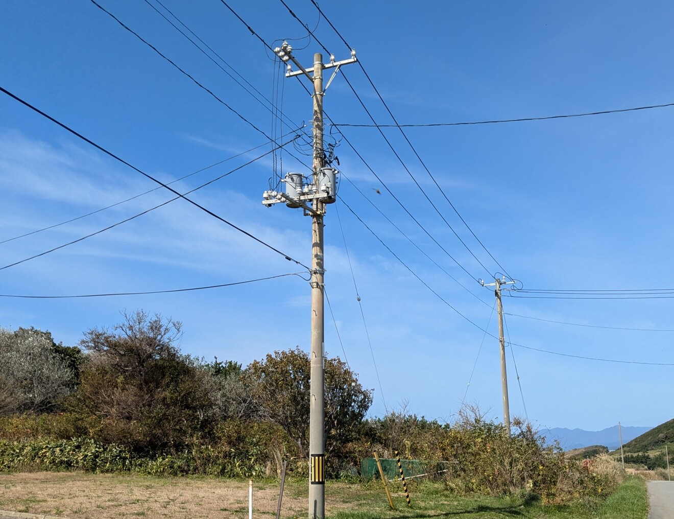 PXL_20241018_020635849.jpg