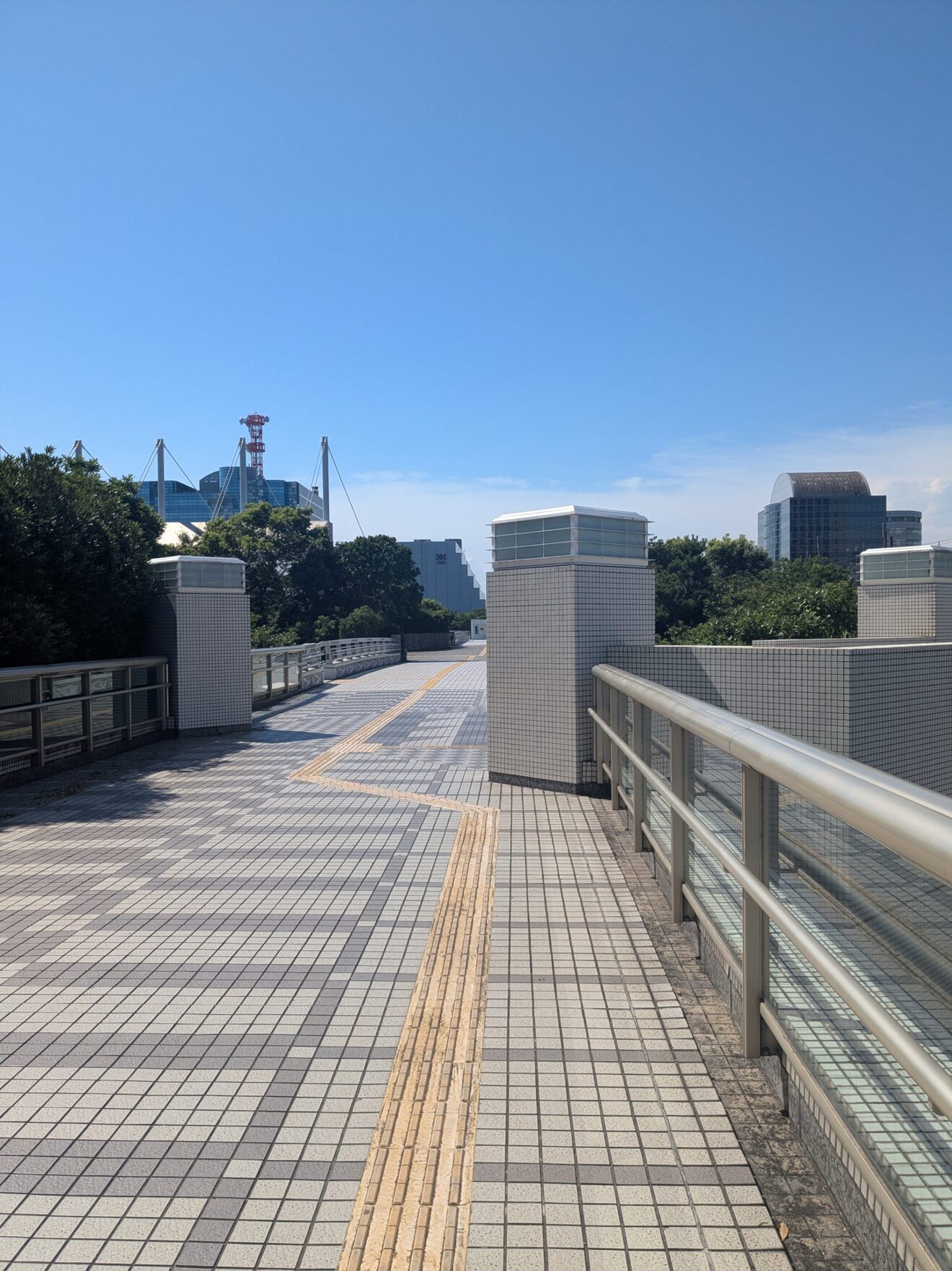 PXL_20250723_052313153.jpg
