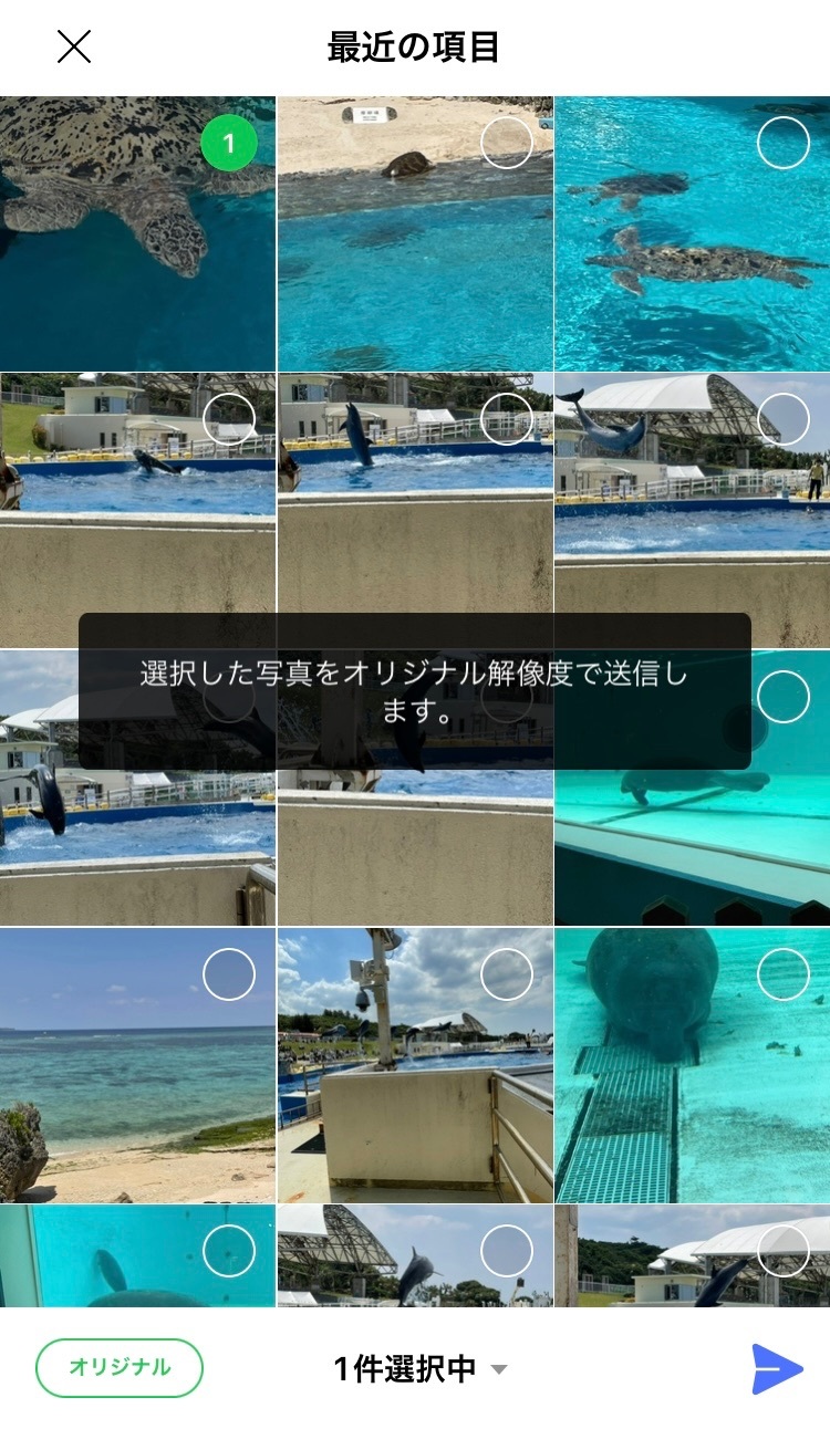 IMG_6263.jpeg