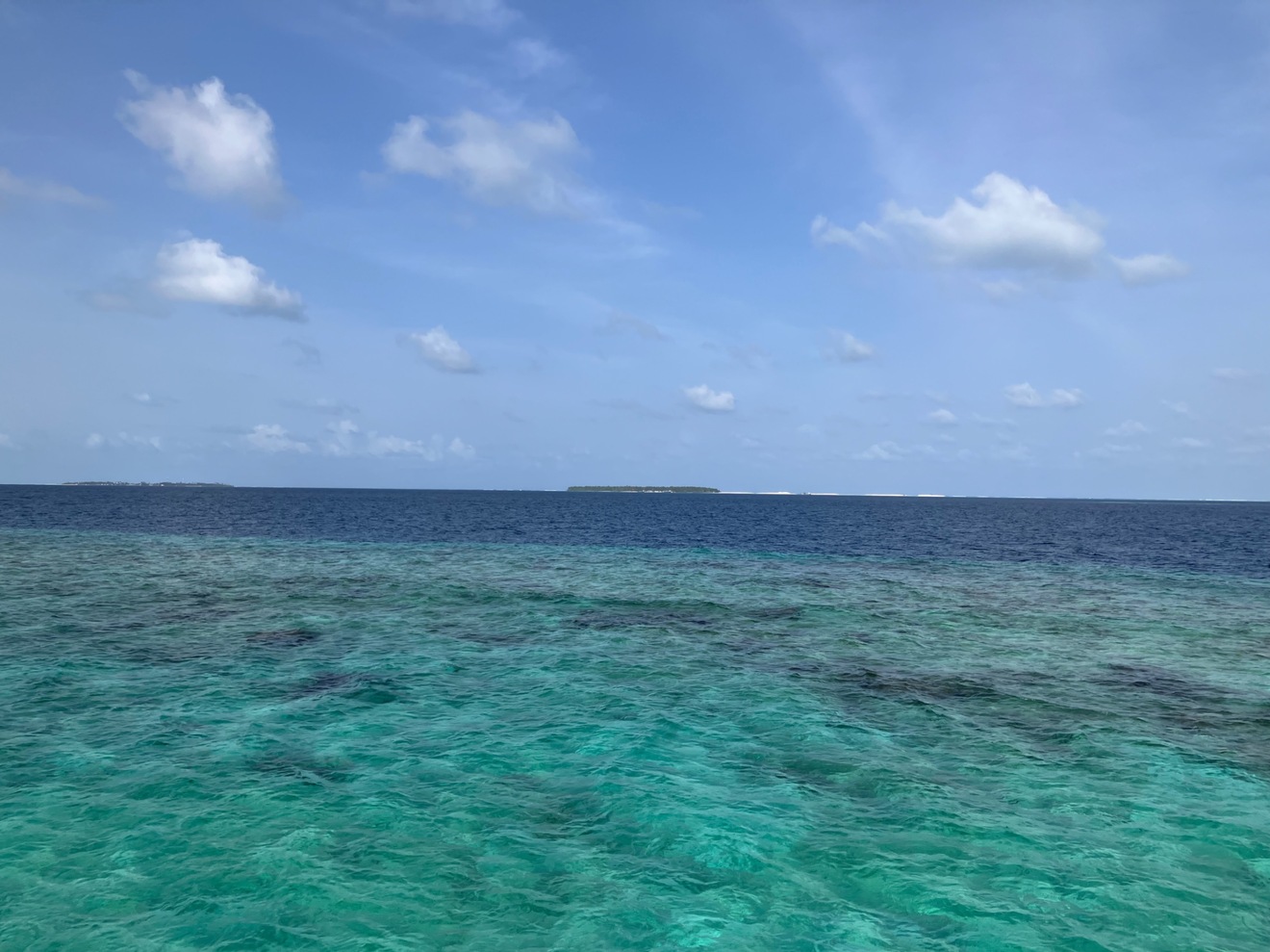 IMG_7307.jpeg