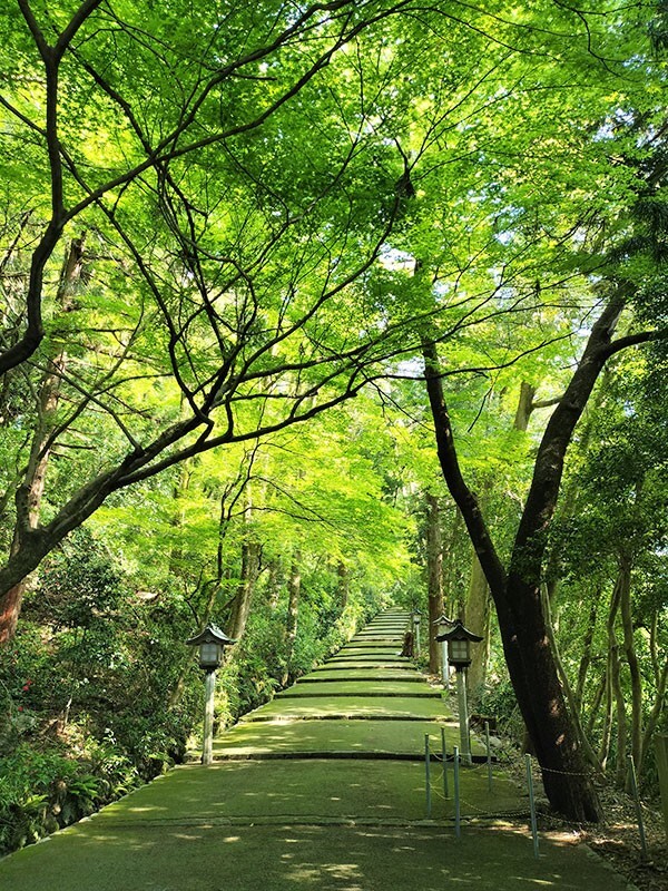 白山比咩神社.jpg