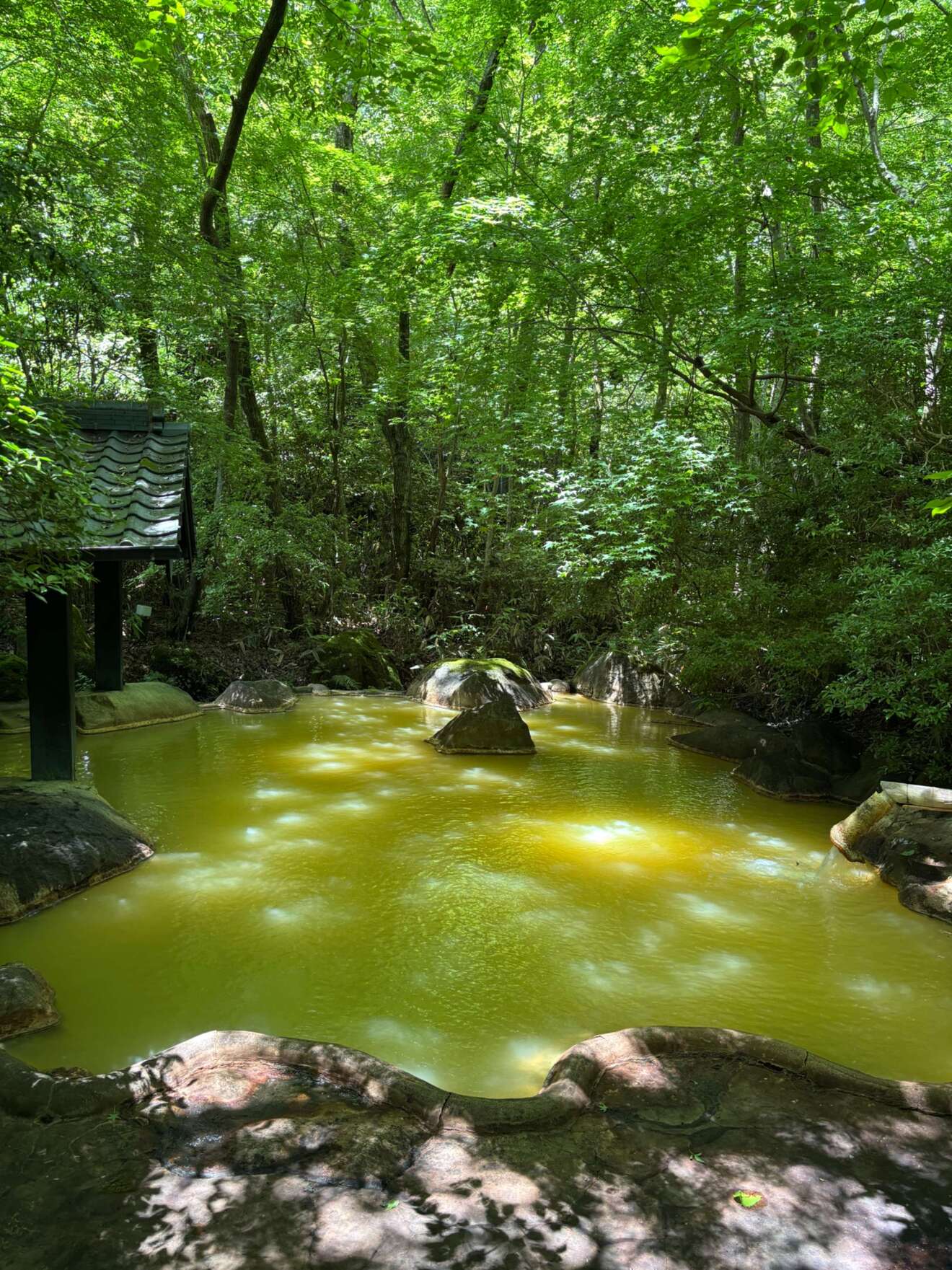 新清館.jpg
