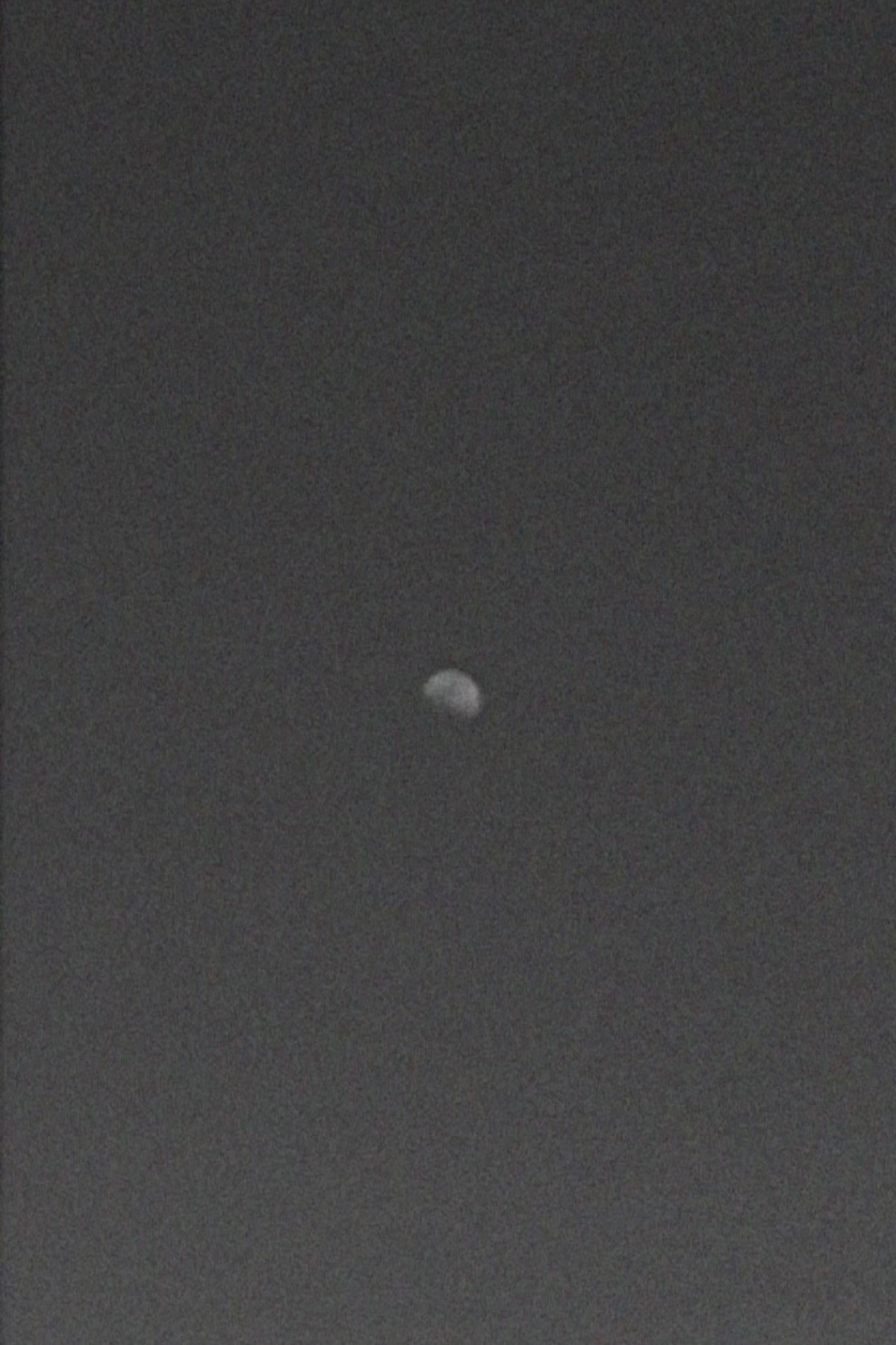 IMG_9595.jpg