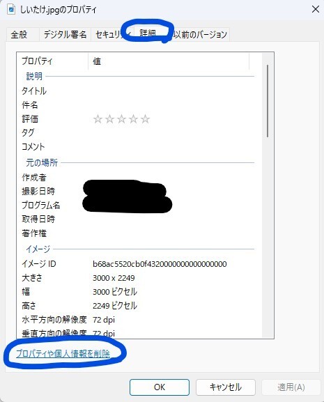 EXIF3.jpg