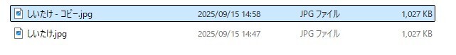 EXIF5.jpg