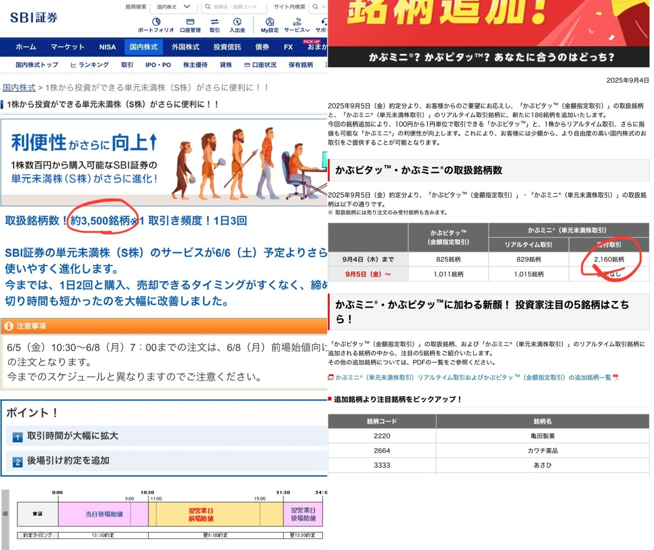 画像.jpeg