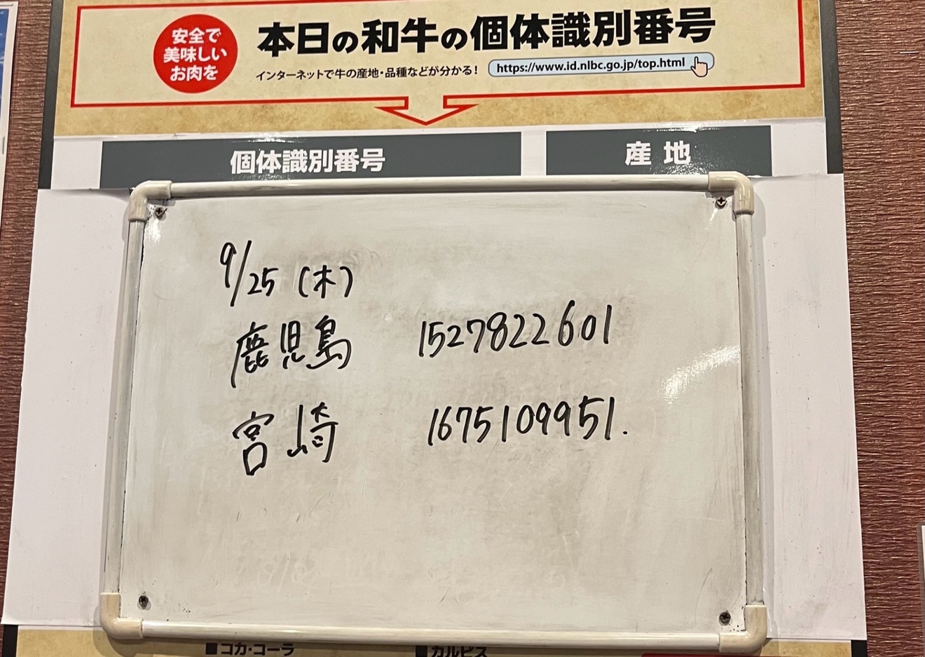 image_picker_8A197F2F-B035-43F3-9AD7-BF053E90B3F5-10909-000001D00B9BA74E_compressed.jpg