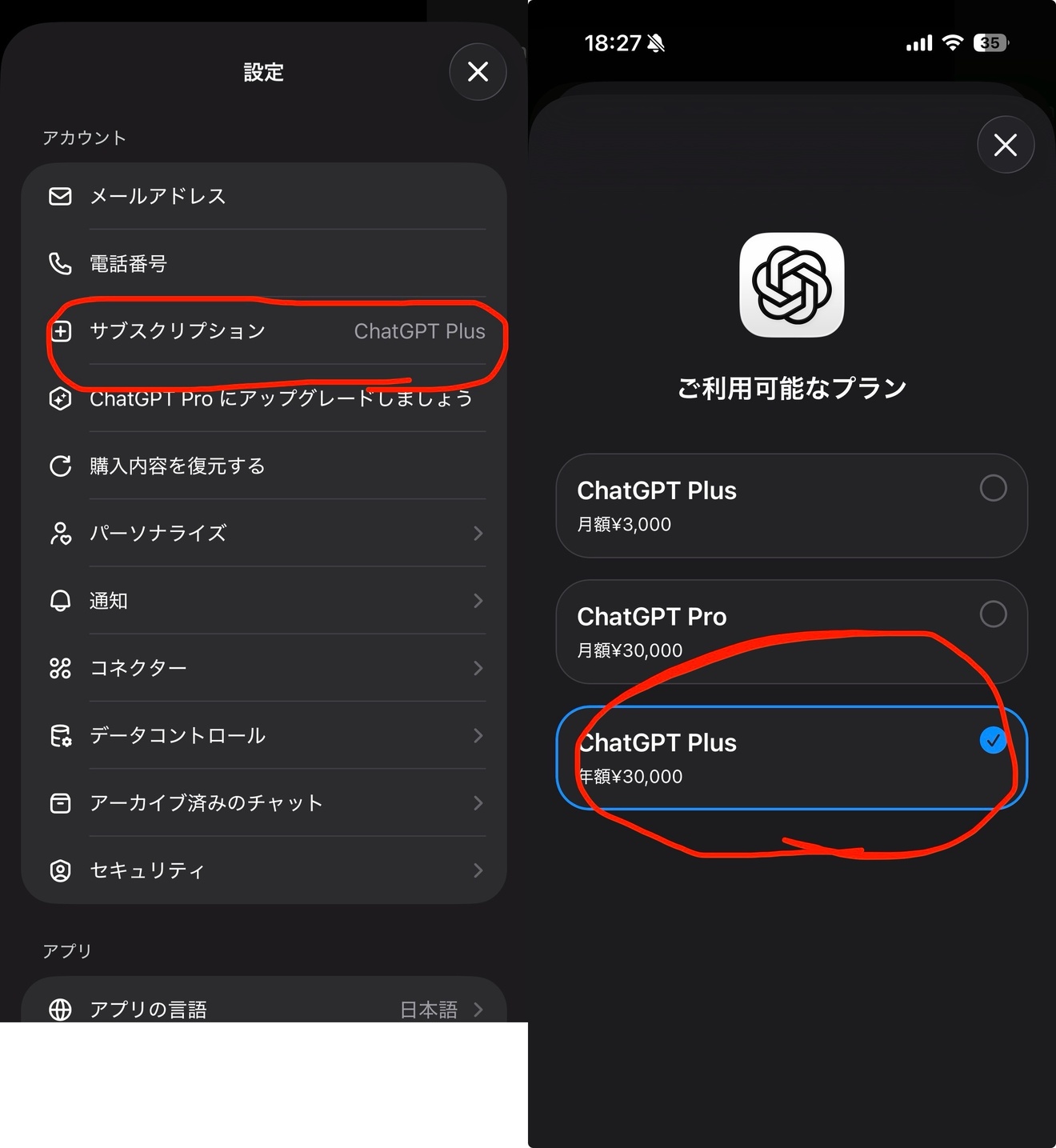 画像 4.JPEG