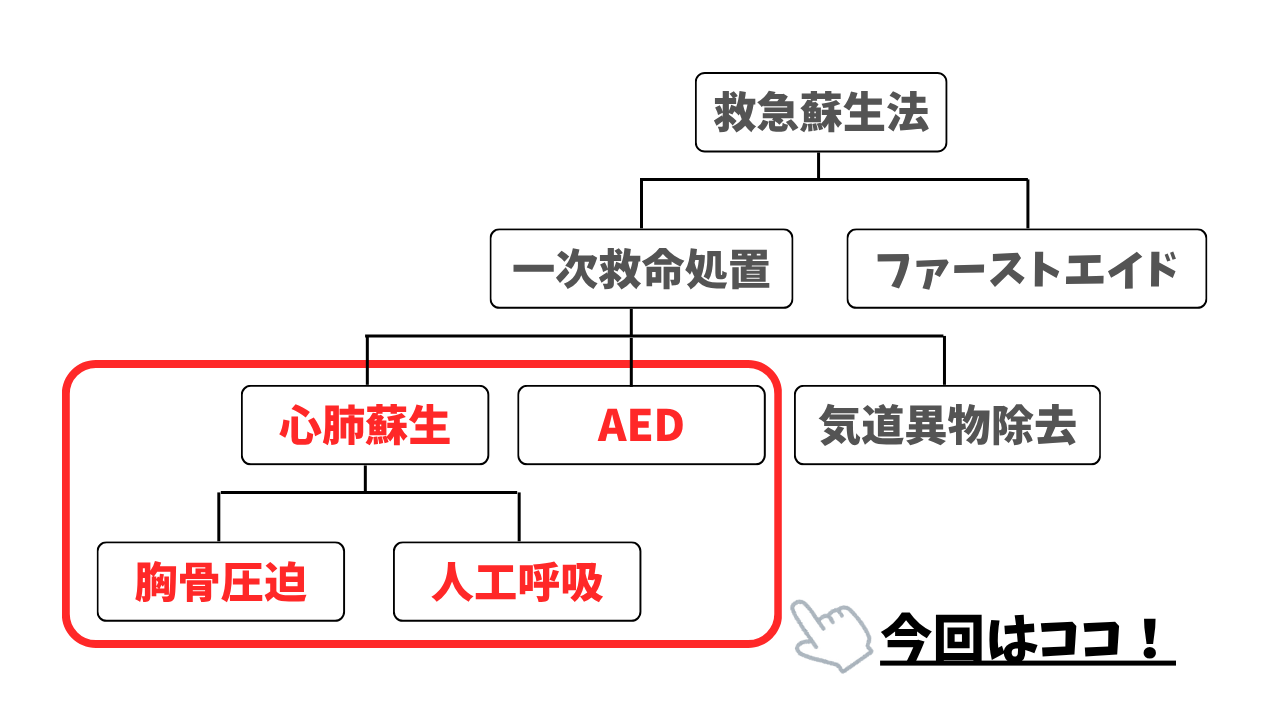 救急蘇生法 (4).png
