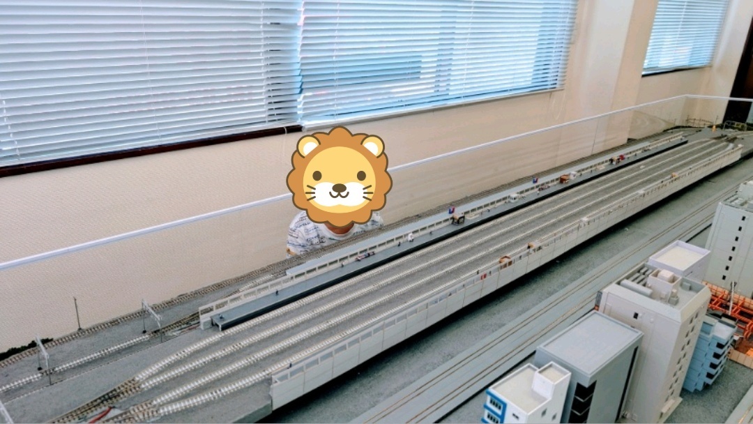 captured_image_1759572256917_compressed.jpg