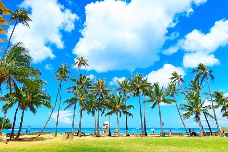 hawaii_img_main.jpg