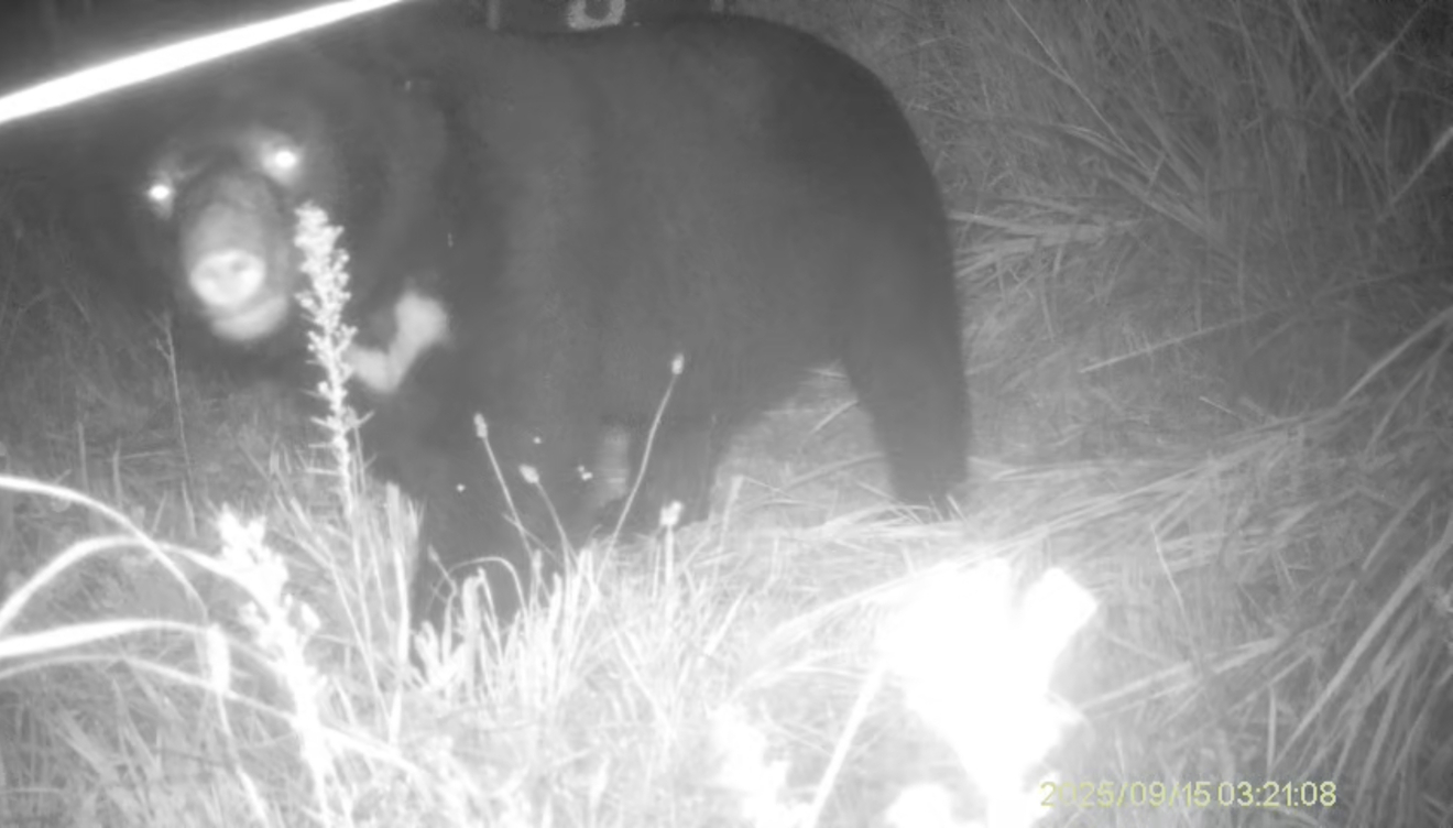 最新の写真を表示 2.jpeg