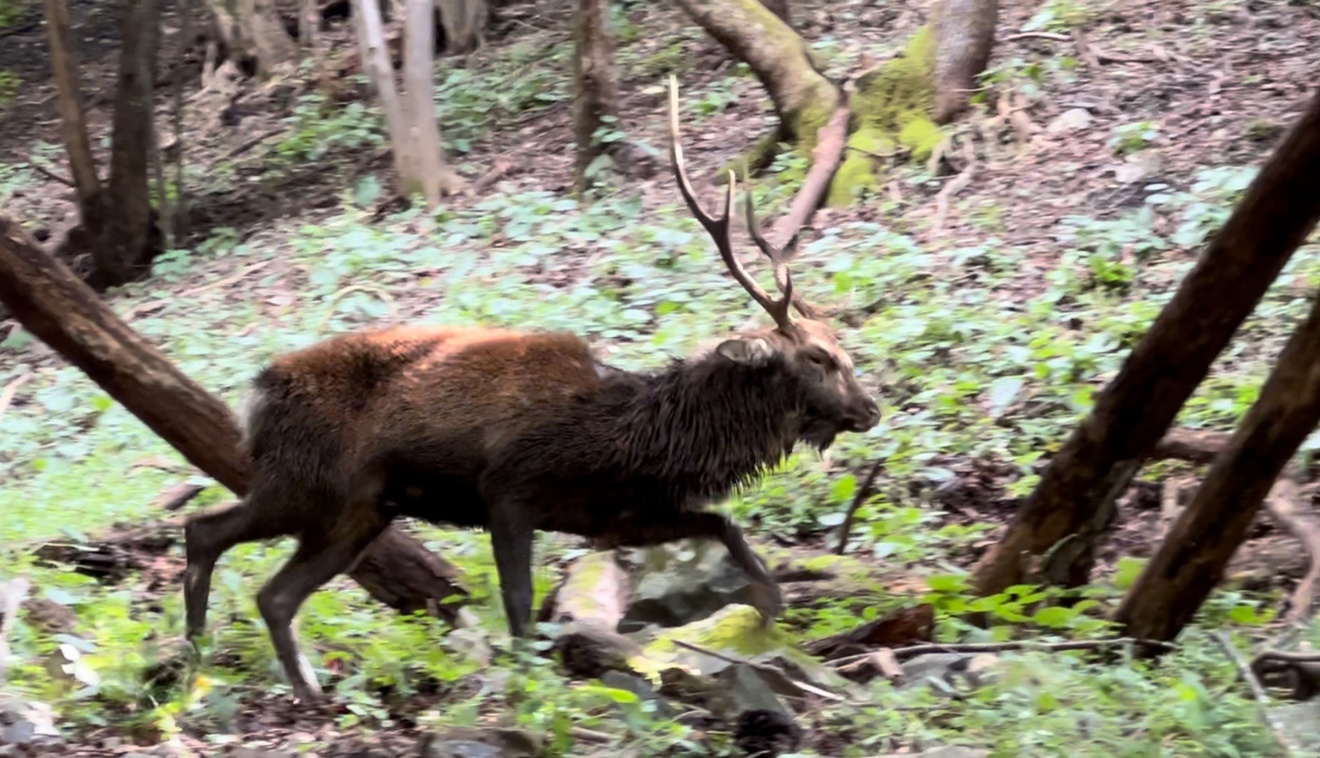 最新の写真を表示 3.jpeg