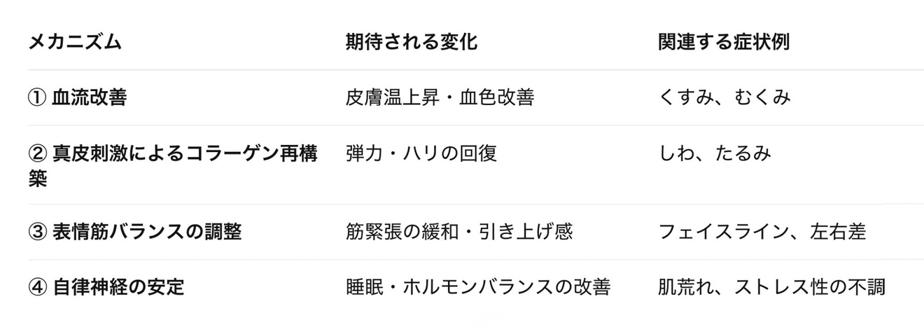 Untitled design.jpeg