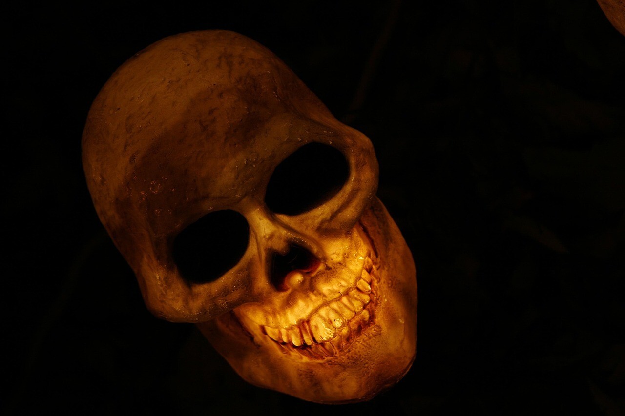 skull-570975_1280.jpg