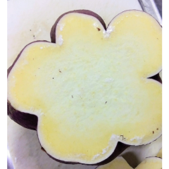 名称未設定のデザイン (43).png