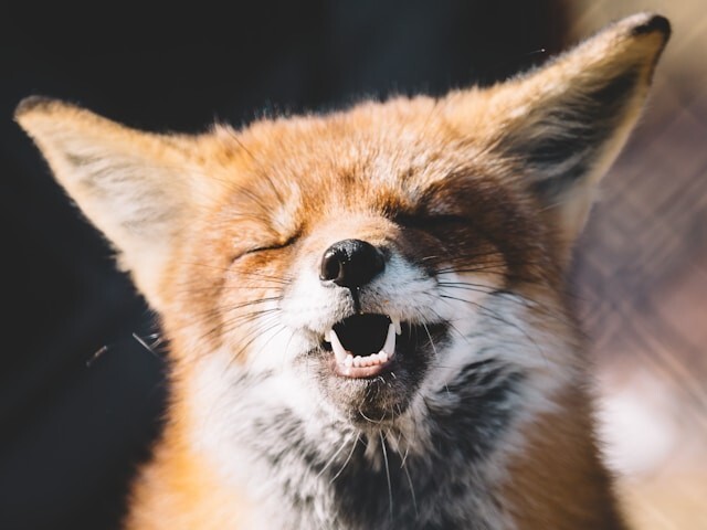 peter-lloyd-z2AvphP--S0-unsplash.jpg