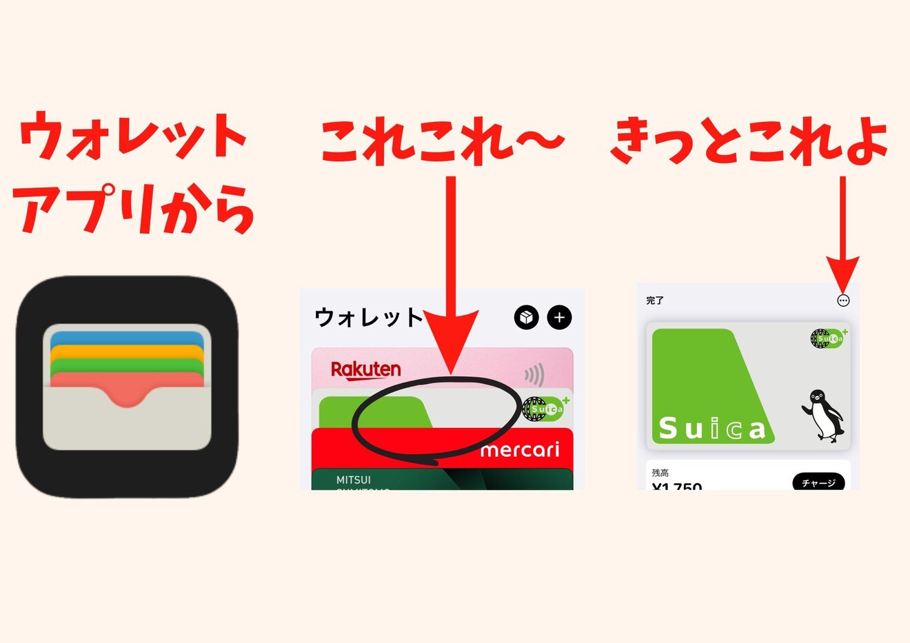 suica1.jpg