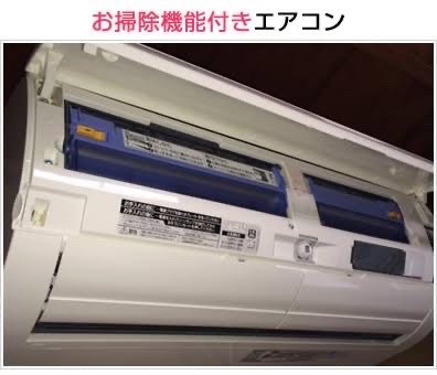 image_picker_EEB2A66F-057A-4309-8637-D8EA176E2AB3-44649-000007CC92A3846A.jpg