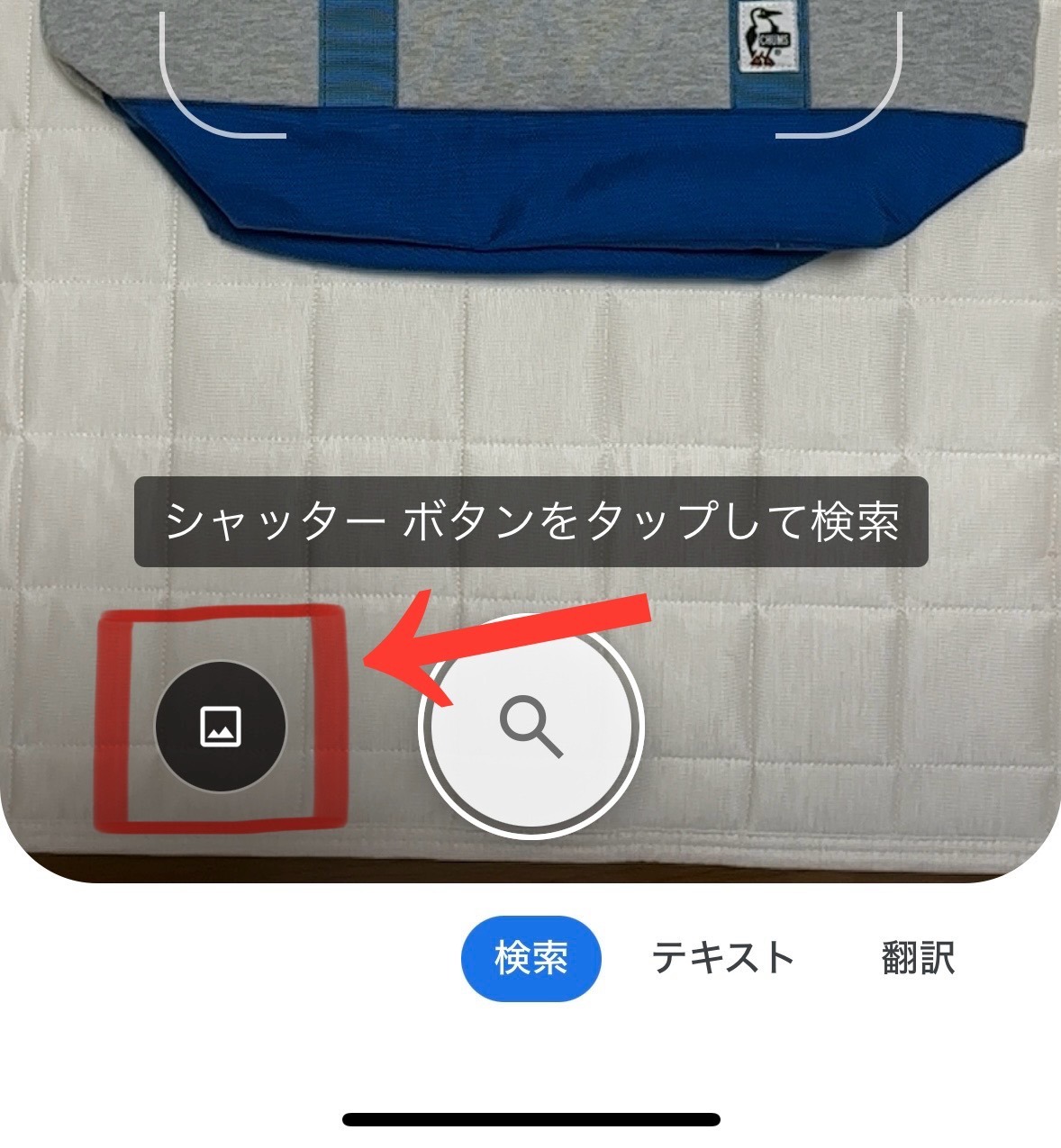 IMG_6268.jpeg