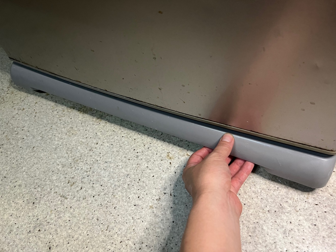IMG_3408.jpeg