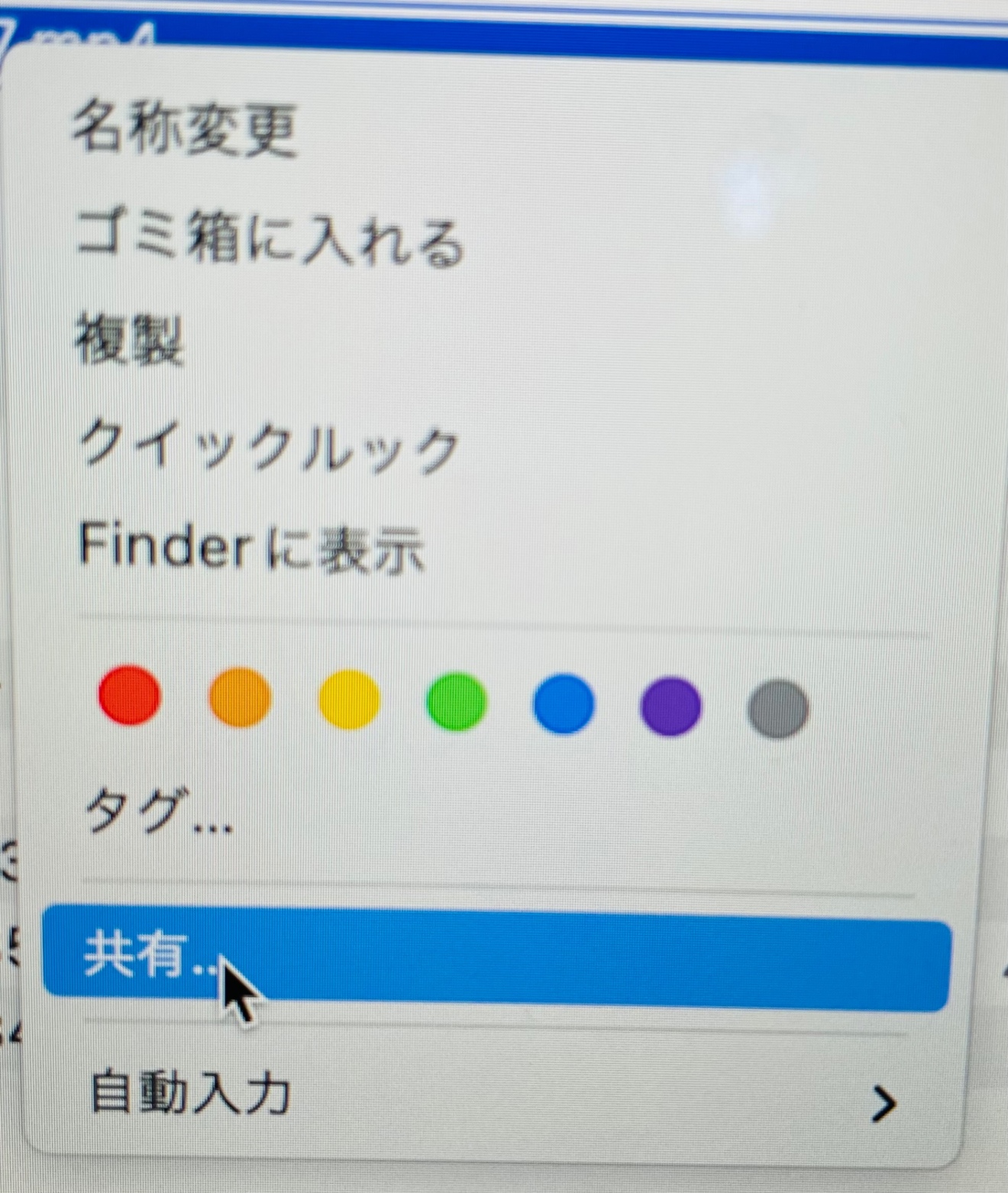 IMG_8403.jpeg