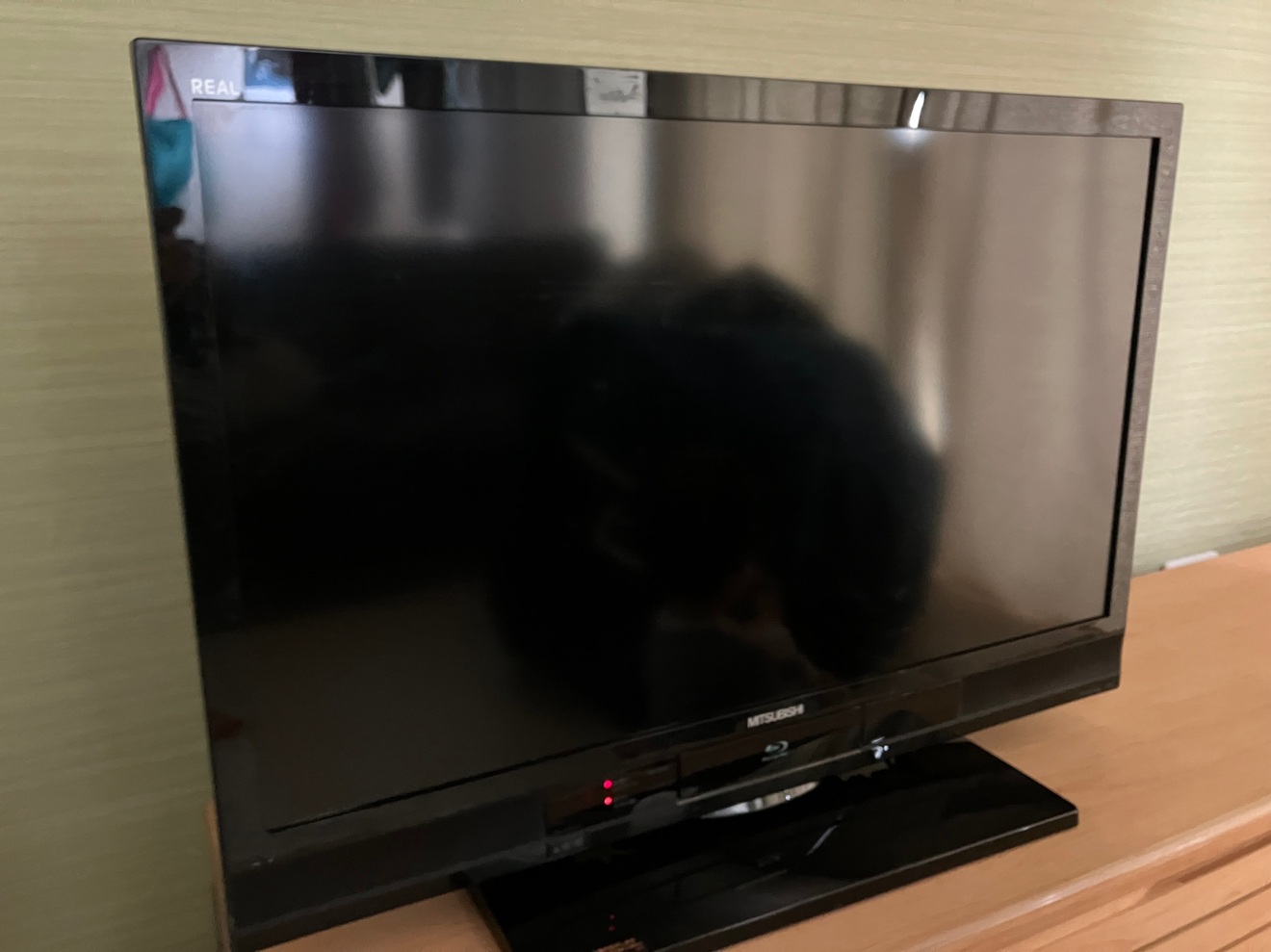 IMG_4882.jpeg