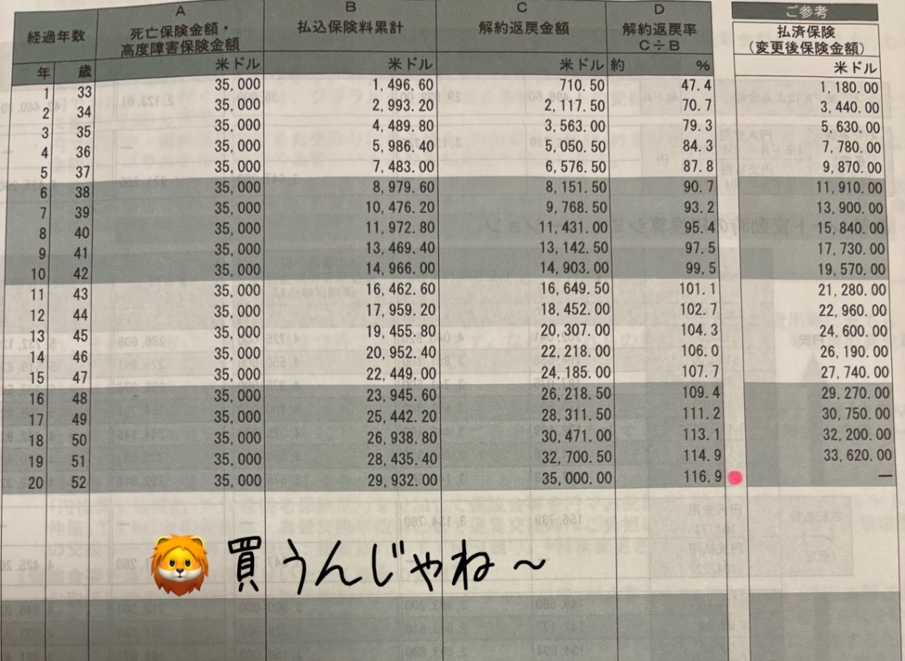 IMG_0083.jpeg