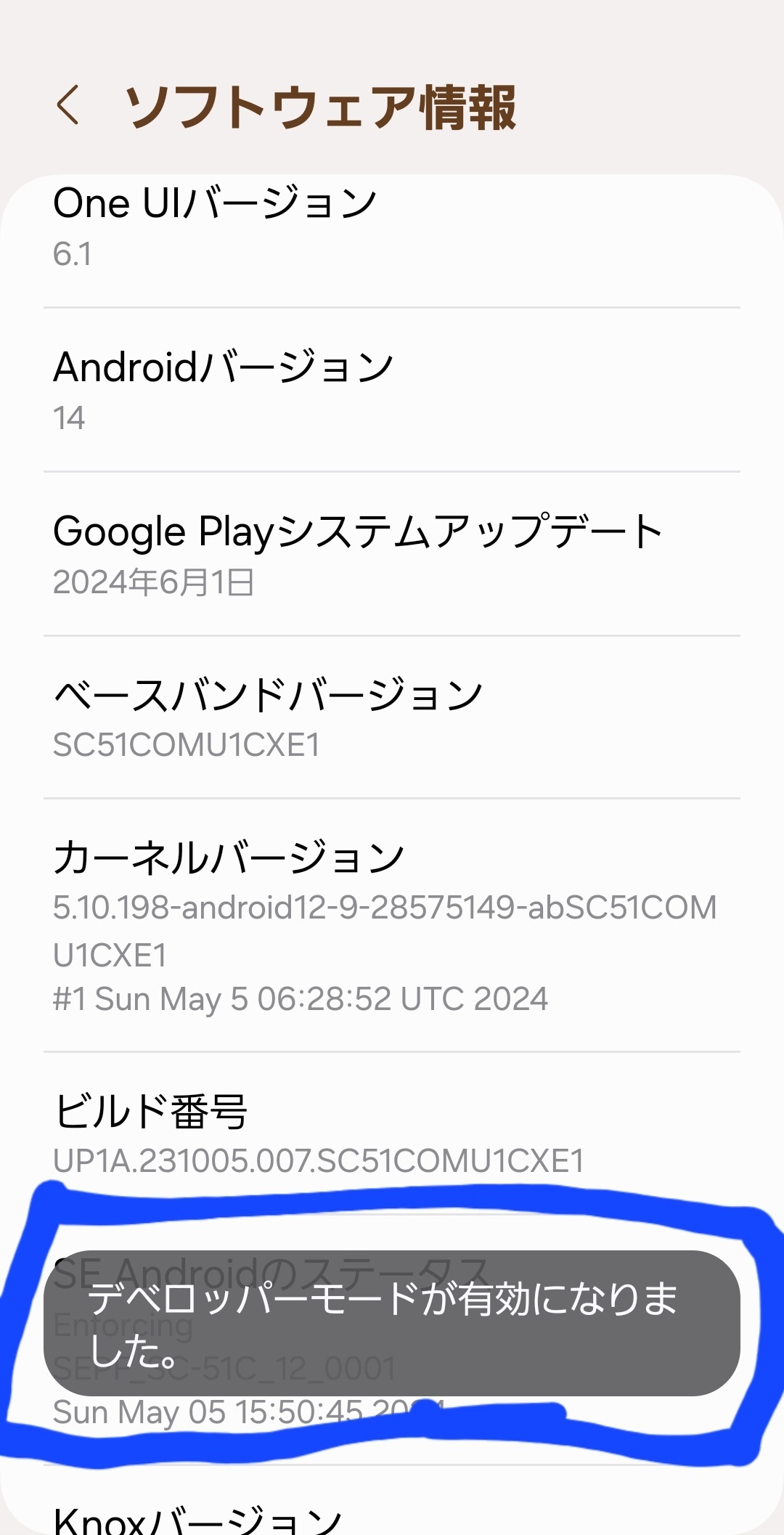 Screenshot_20240723_141216_Settings.jpg