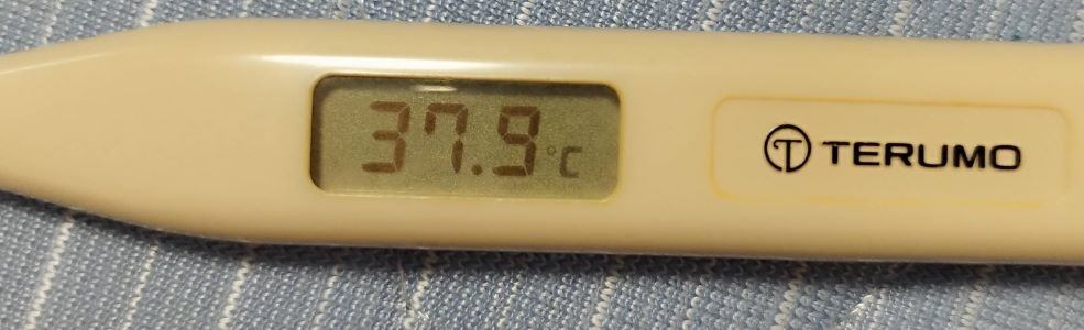 283882.jpg