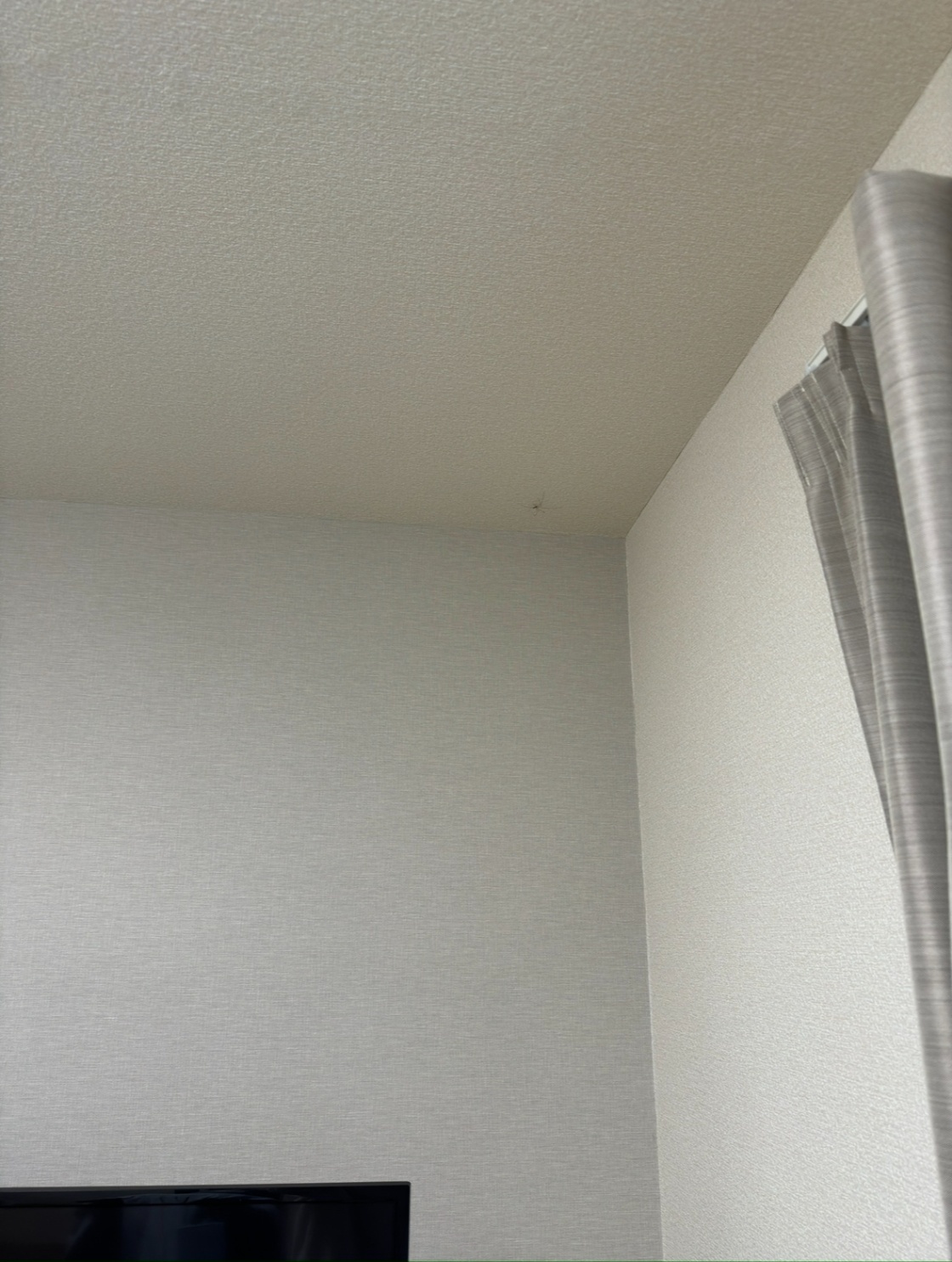 IMG_3791.jpg