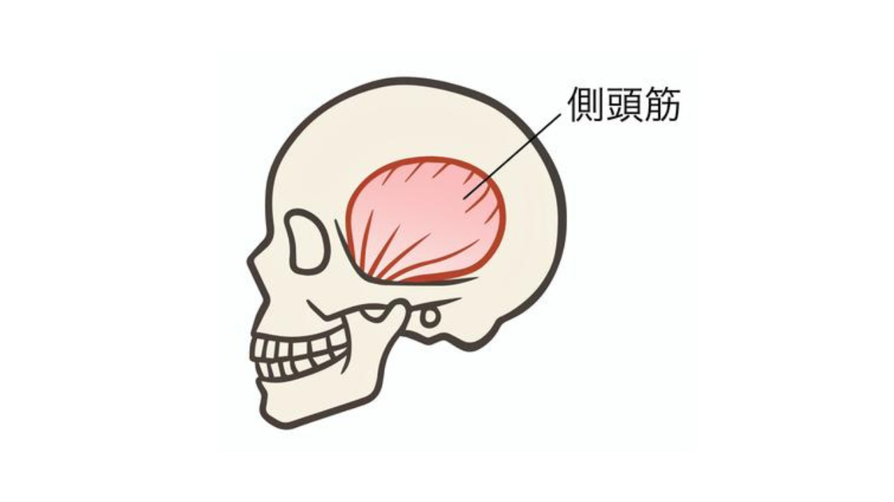 名称未設定のデザイン (4).png