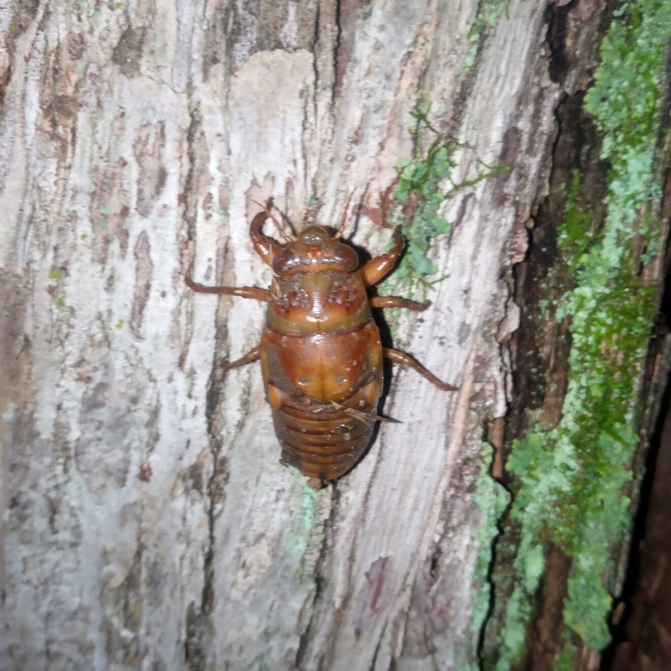 DSC_2414.JPG