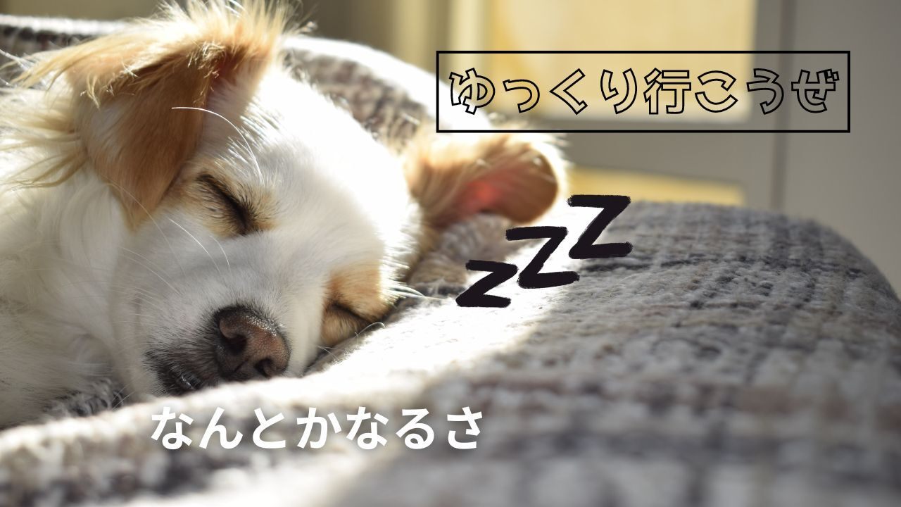 シンプル　お昼寝　犬　ペット Vlog　YouTubeサムネイル.jpg