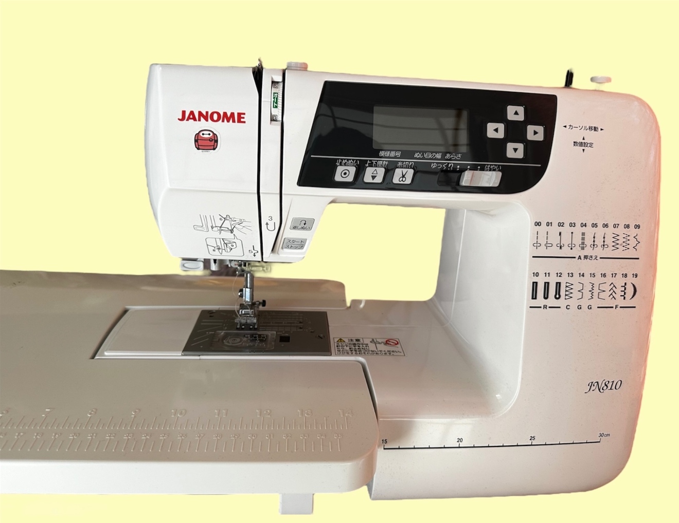 Photoroom_20240730_084423.jpeg