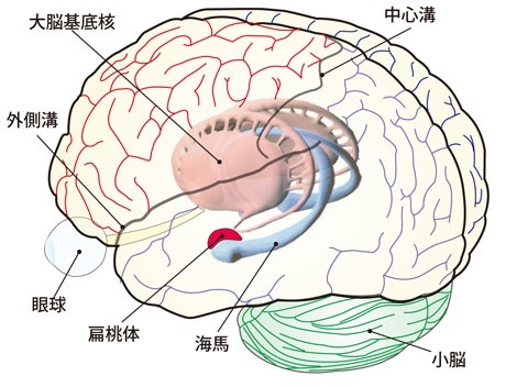 fig1.jpg