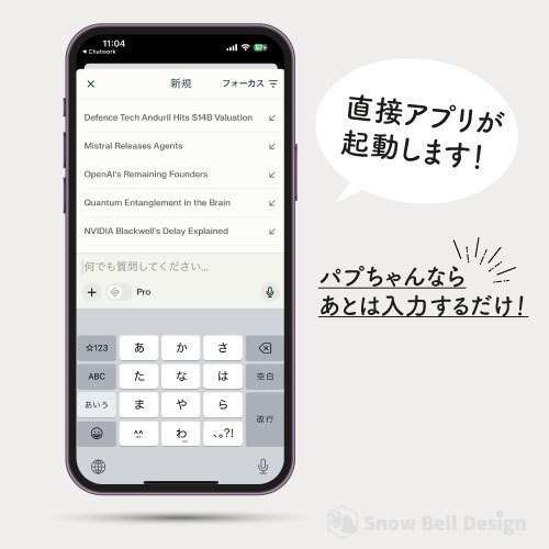 パプちゃん起動　大.jpg