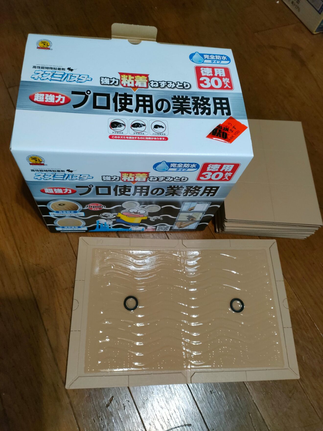 IMG20240314065751.jpg