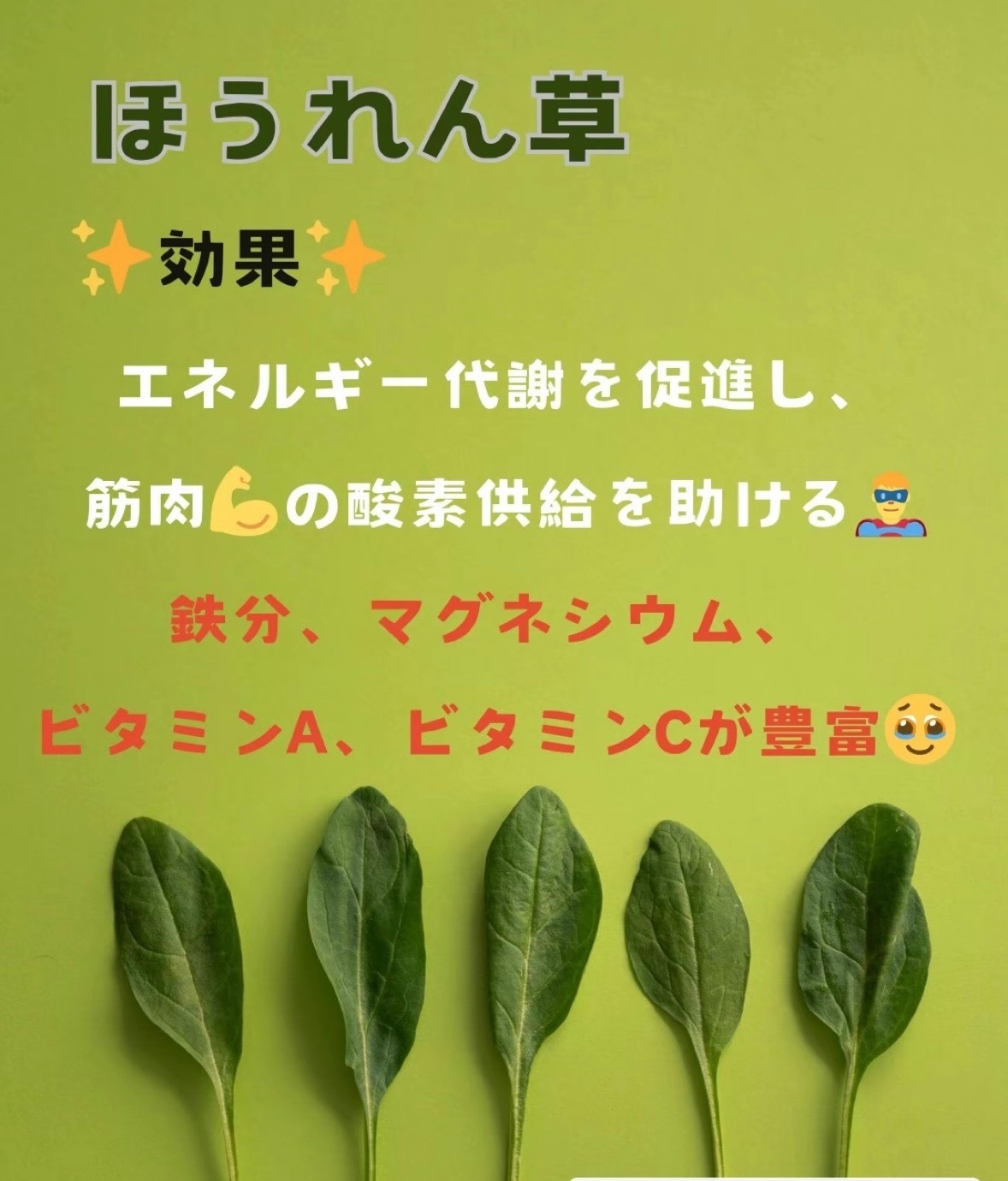 IMG_6738.jpeg