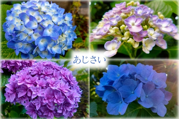 4【内容】.jpg