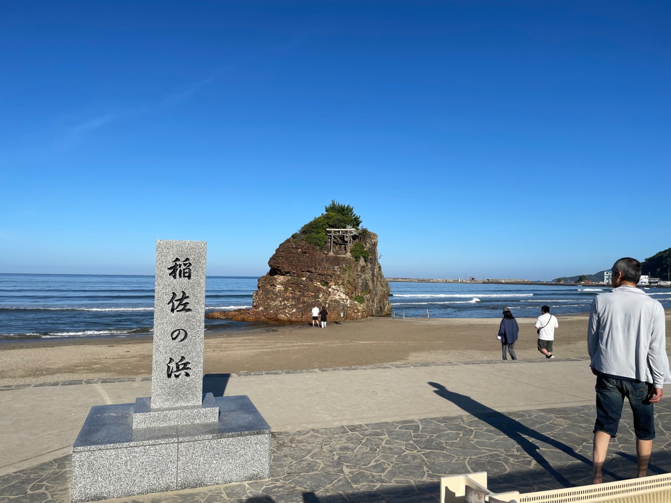 IMG_8950.jpeg